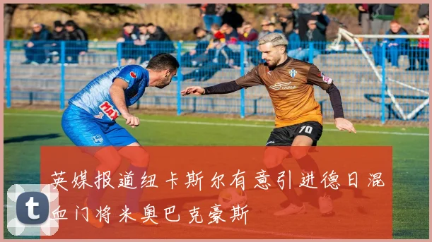 英媒报道纽卡斯尔有意引进德日混血门将米奥巴克豪斯