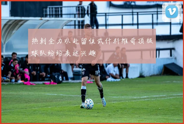 热刺全力以赴留住武什科维奇顶级球队纷纷表达兴趣